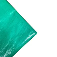 Тент X-Glass 120, 6 х 8 м, 120 г/м²